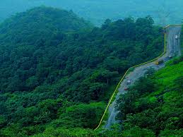 Wayanad